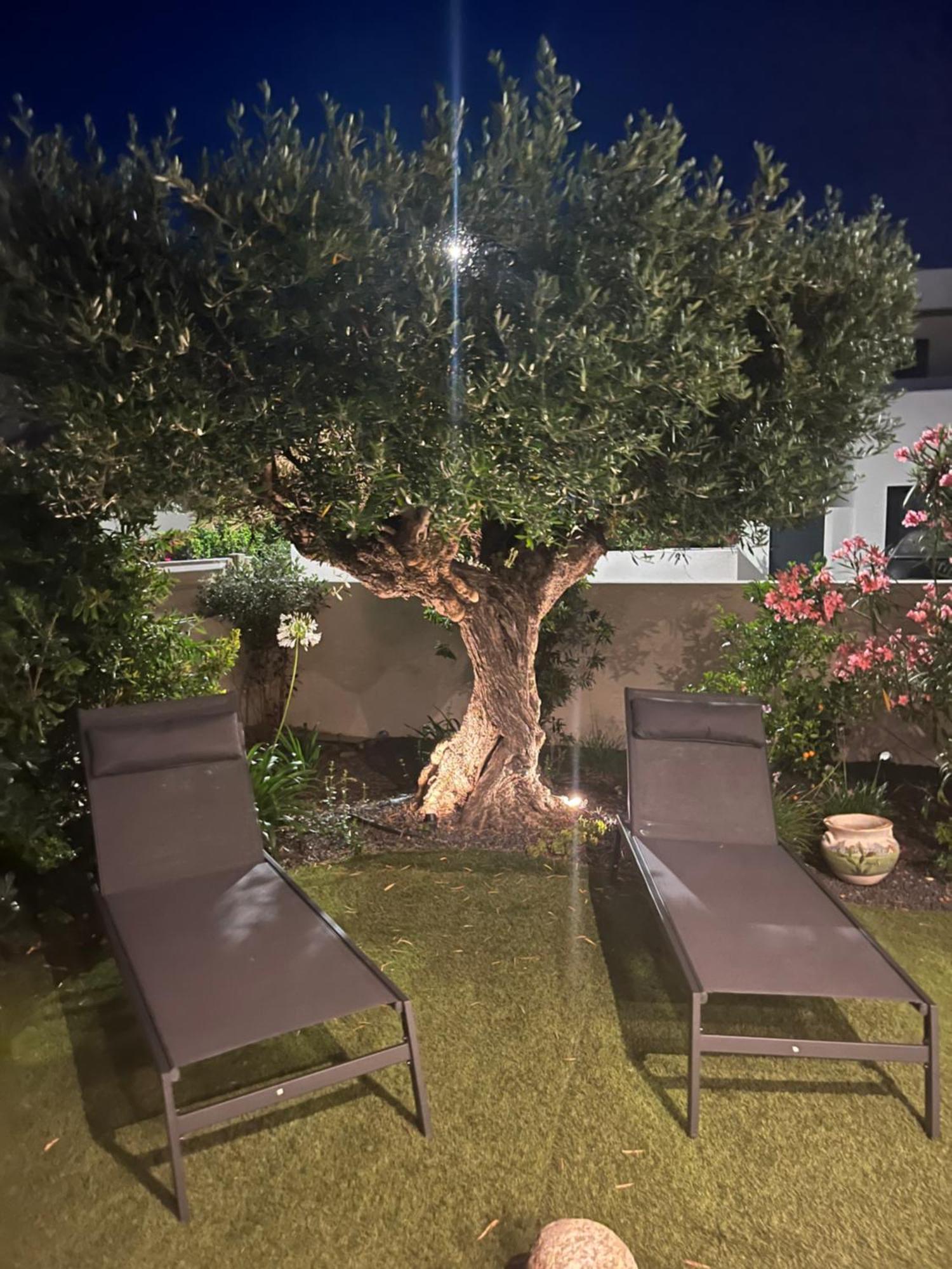 Villa Dolce Vida Proche Golf, Lac, Plage Et Collioure Villeneuve-de-la-Raho Extérieur photo